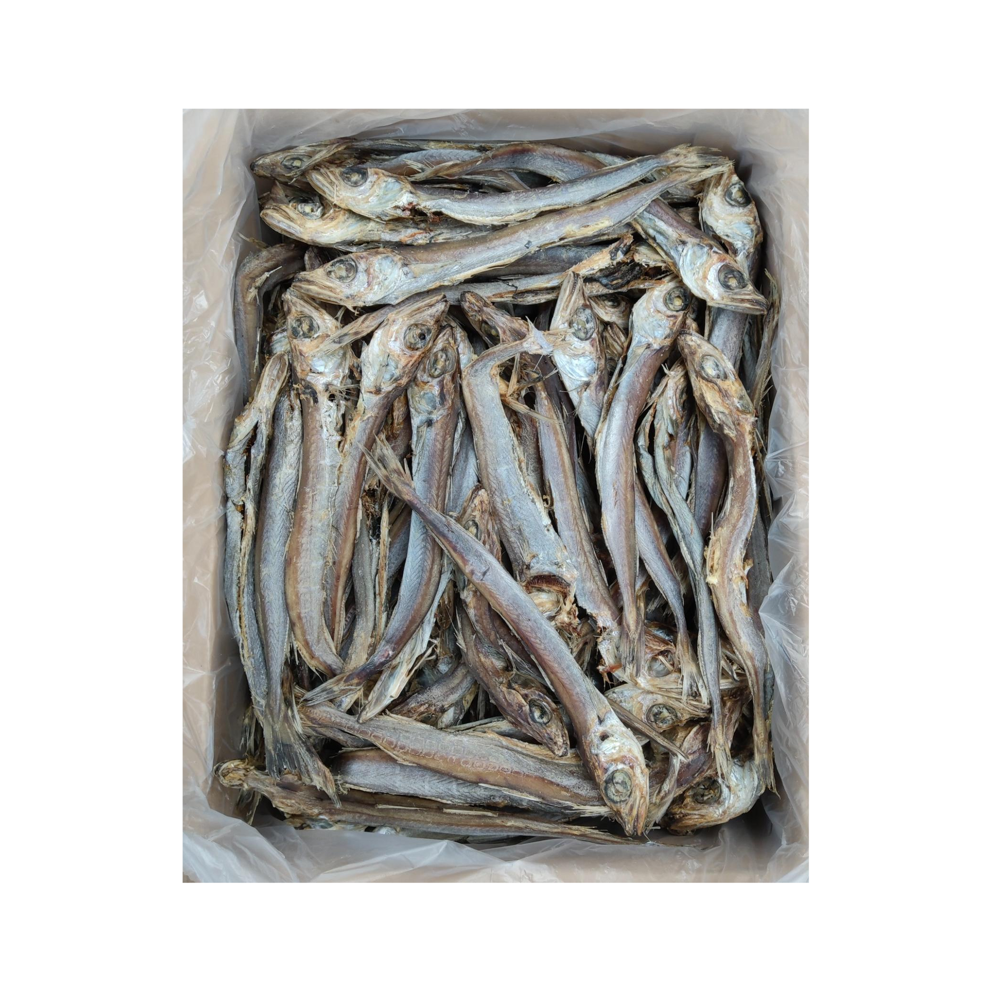 fish_centered_2080x2080.png