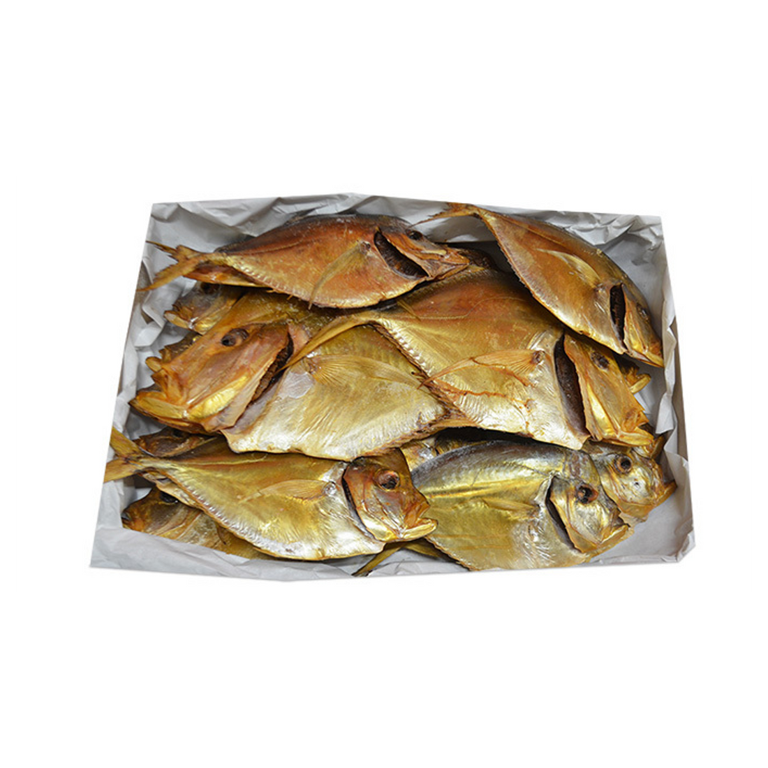 Mooijer_4345_Karibsky_pomfret.png
