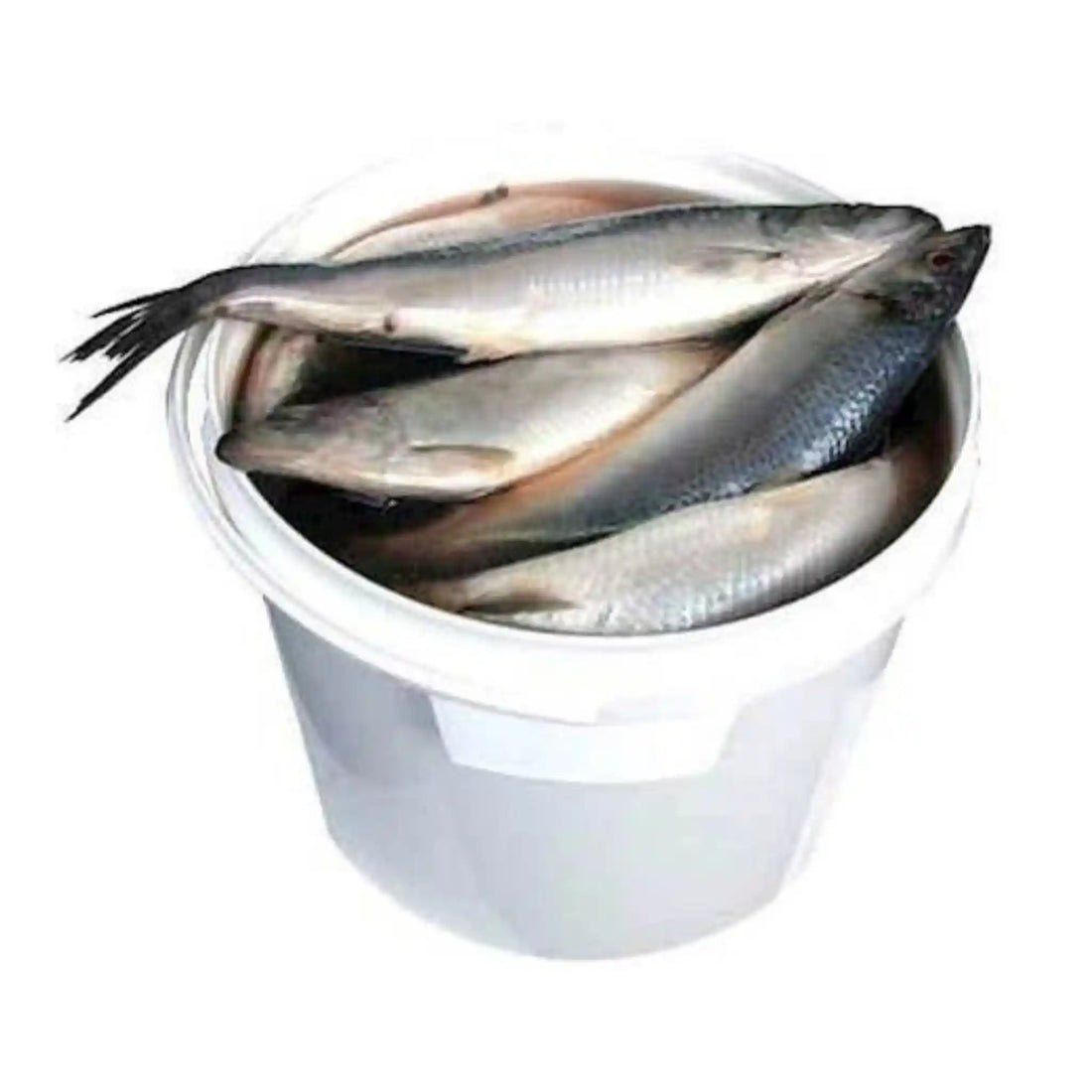 Лемберг селедка саит.webp