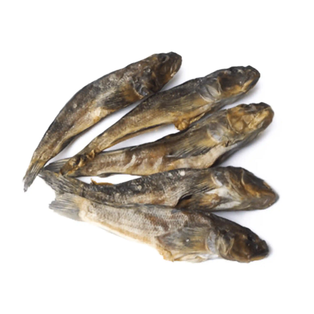 Бычок сущеныи саит.webp