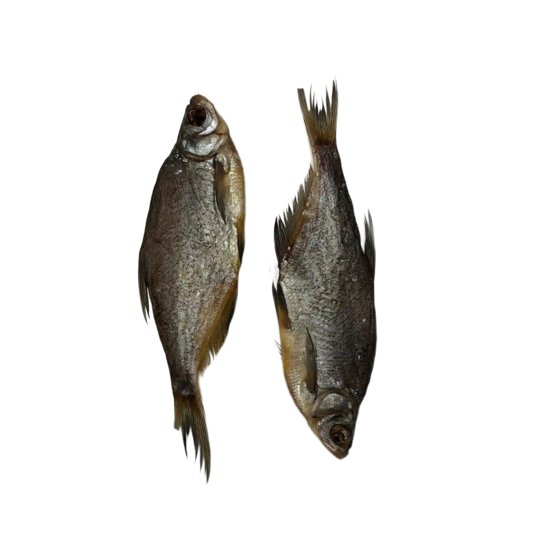 Синец саит.webp