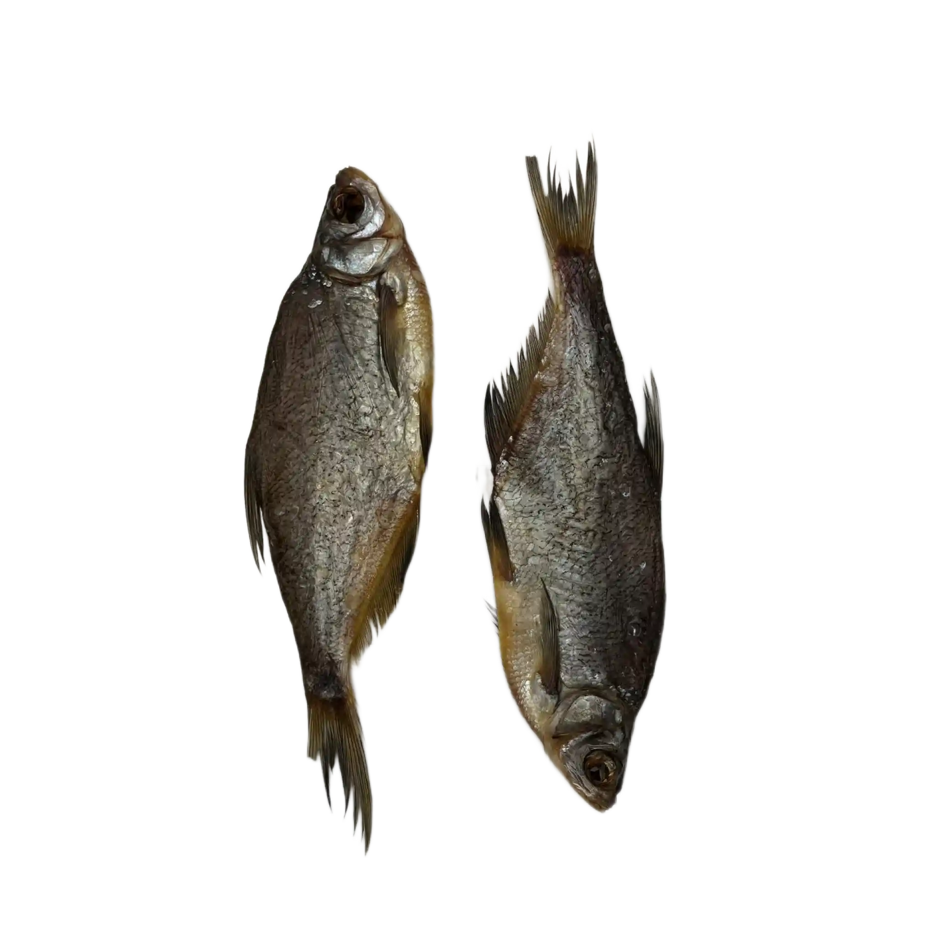 Синец саит.webp