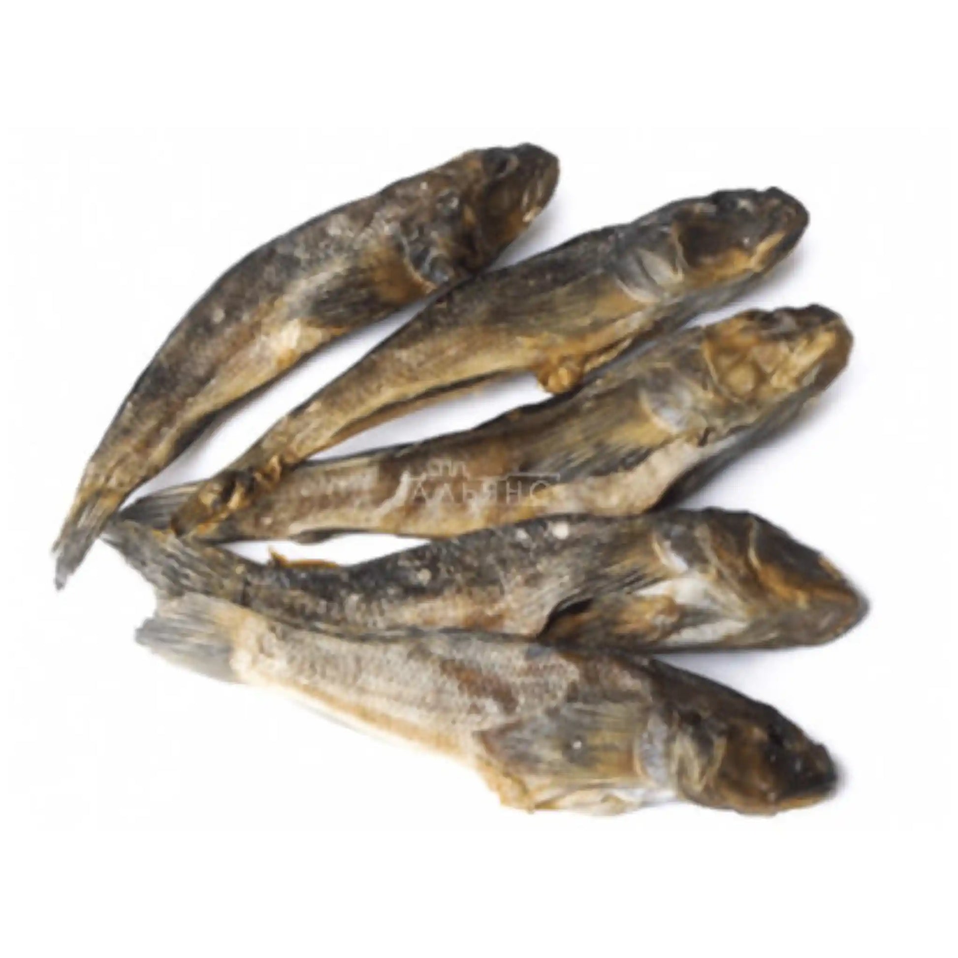 Бычок сона саит.webp