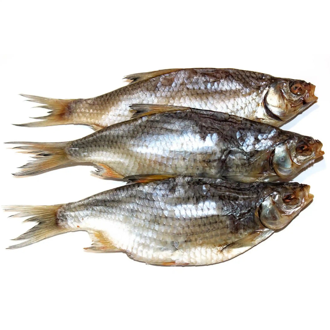 Плотва саит.webp