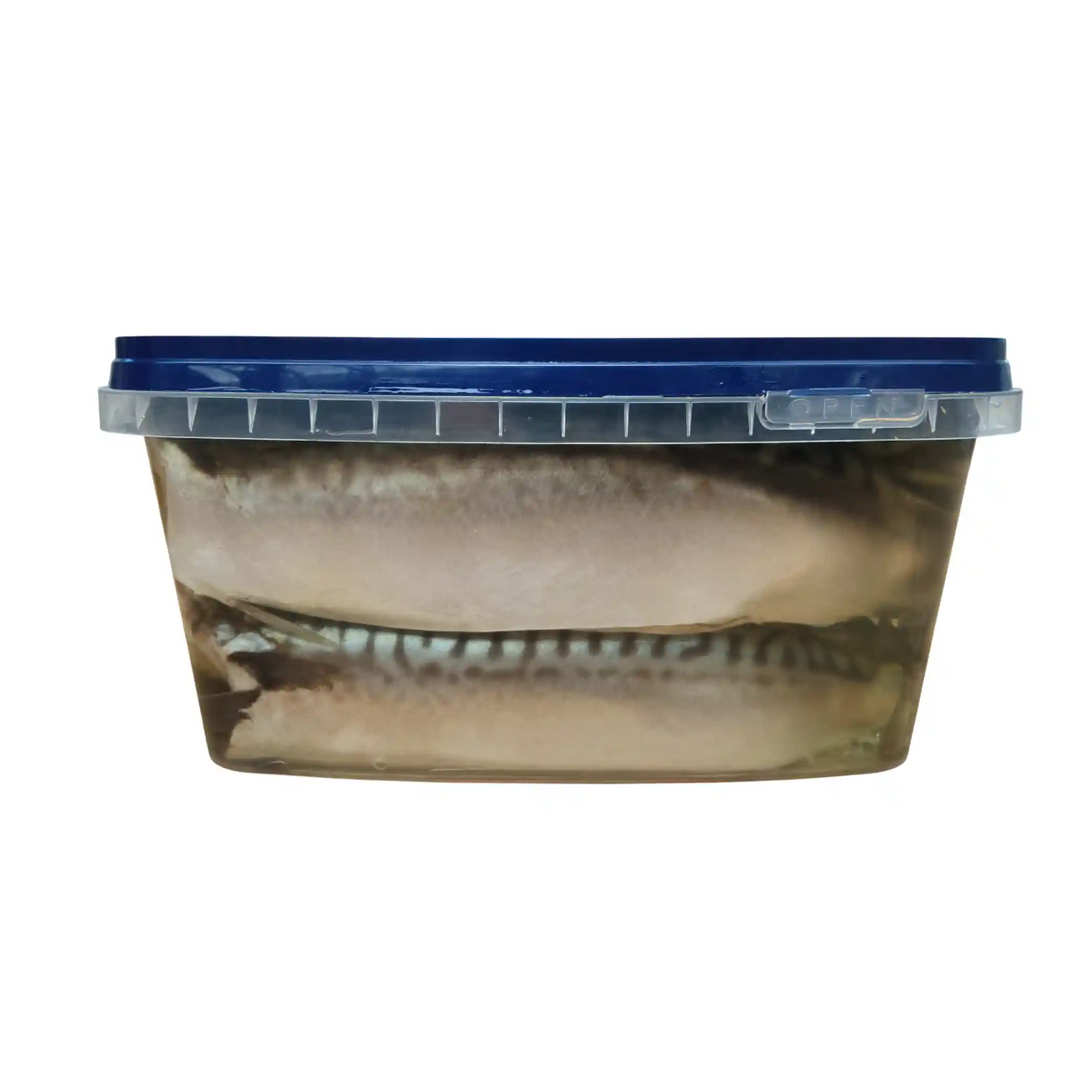 mackerel_container_2080x2080_bright.webp
