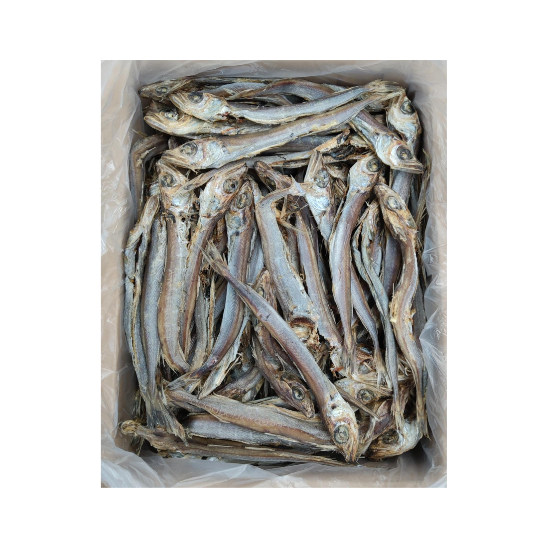 fish_centered_2080x2080.png