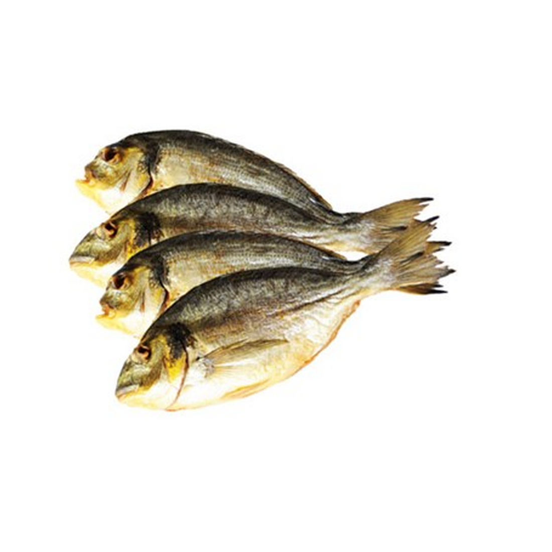 schultheiss-dorada-morsky-karas-studene-uzeny-1-4kg-zoom.png