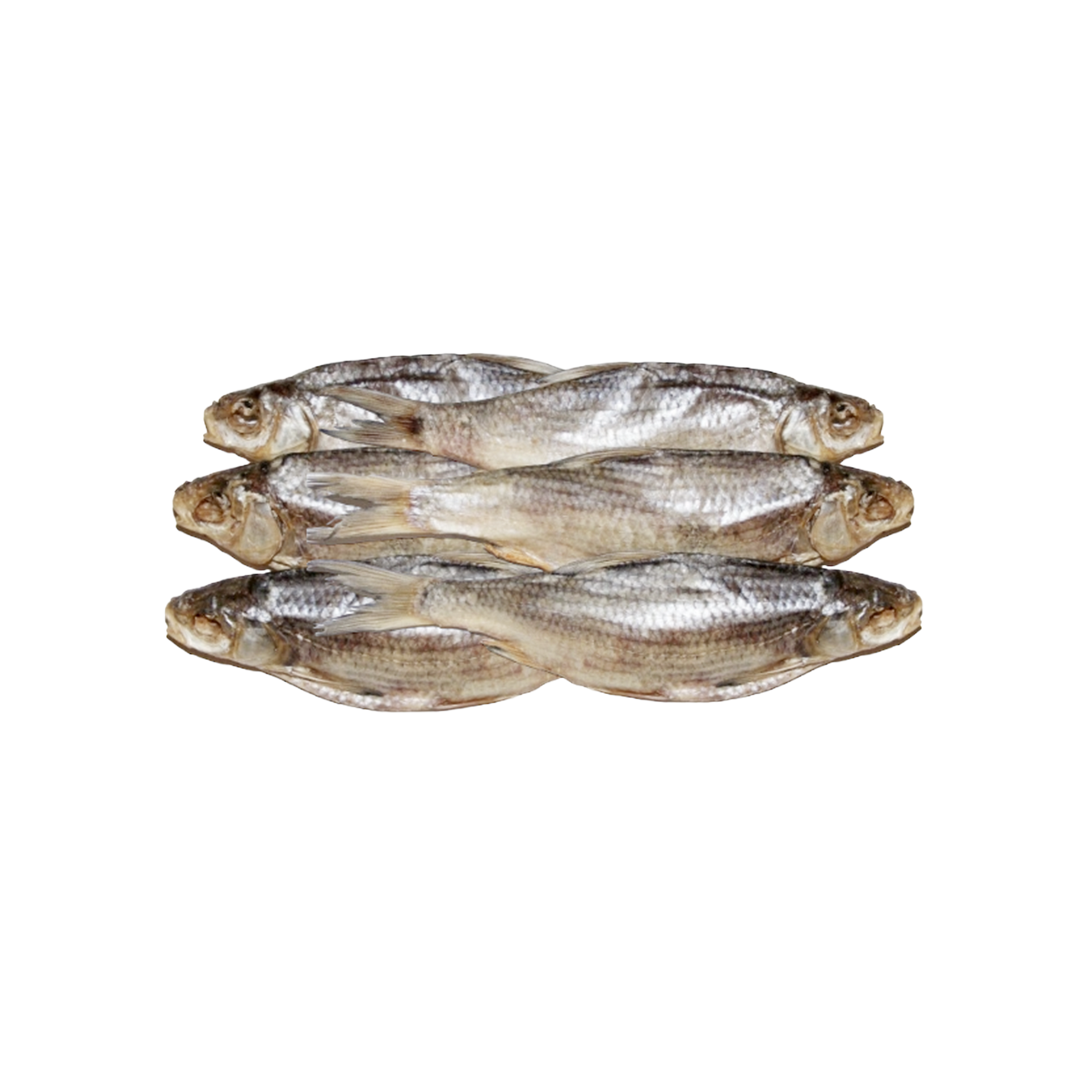 plotice_susena_2080.png
