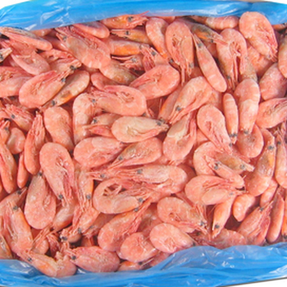 mooijer-krevety-severni-1kg.jpg