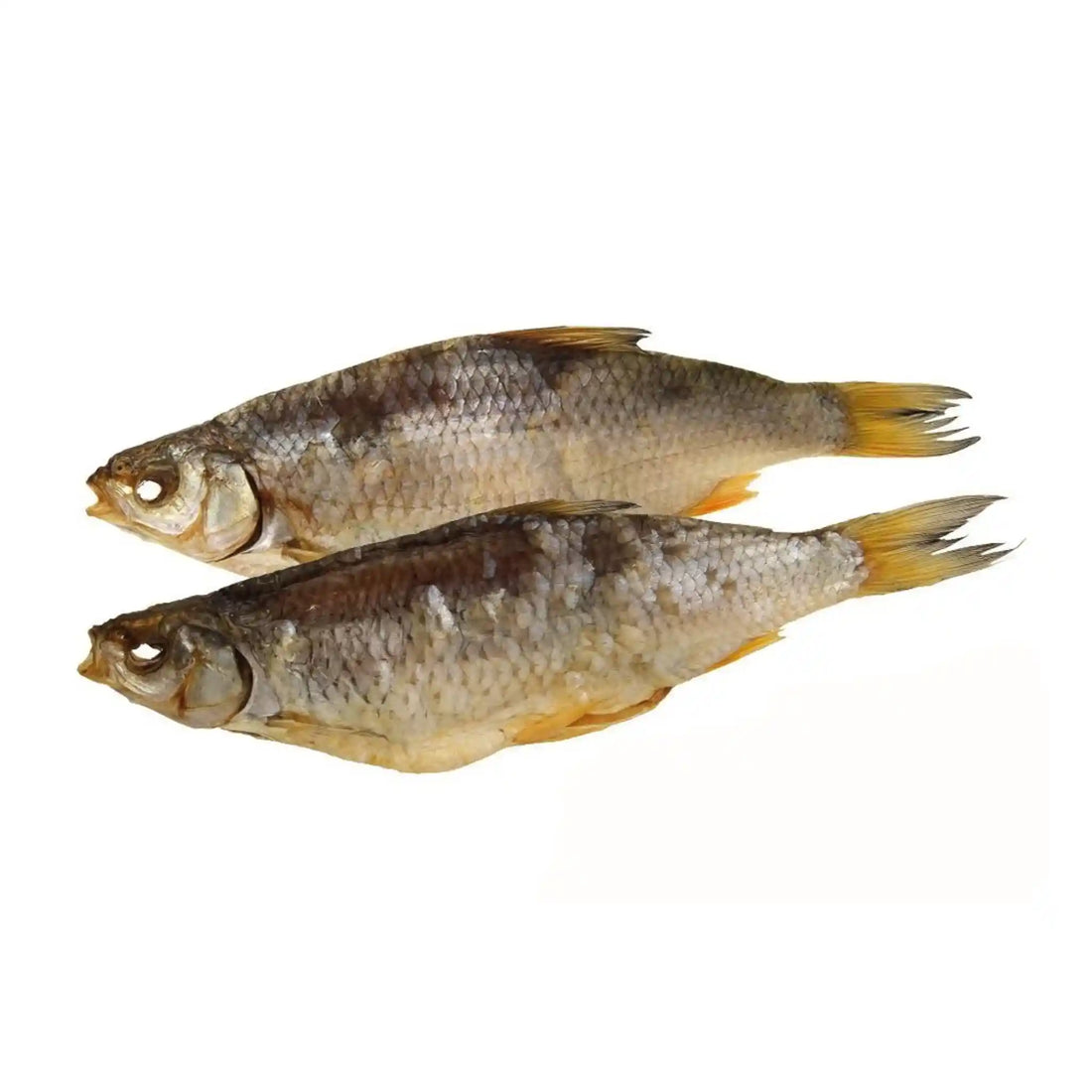 Плотва лемберг саит.webp