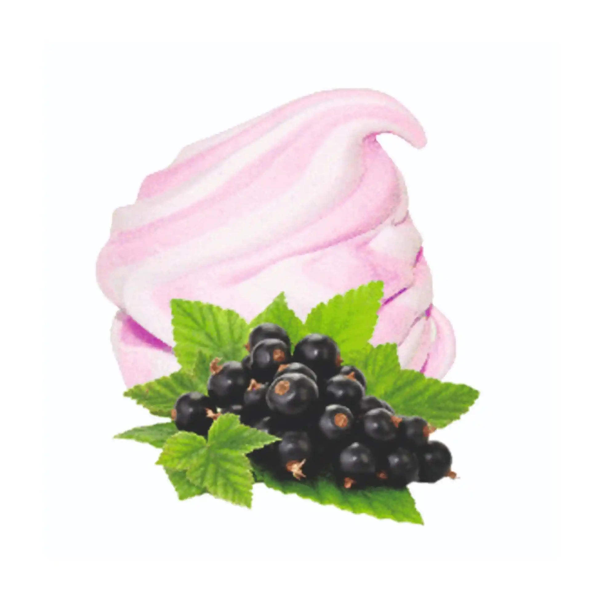 Romny_Zefir_Delight_cerny_rybiz_1000g_2080 (1).webp