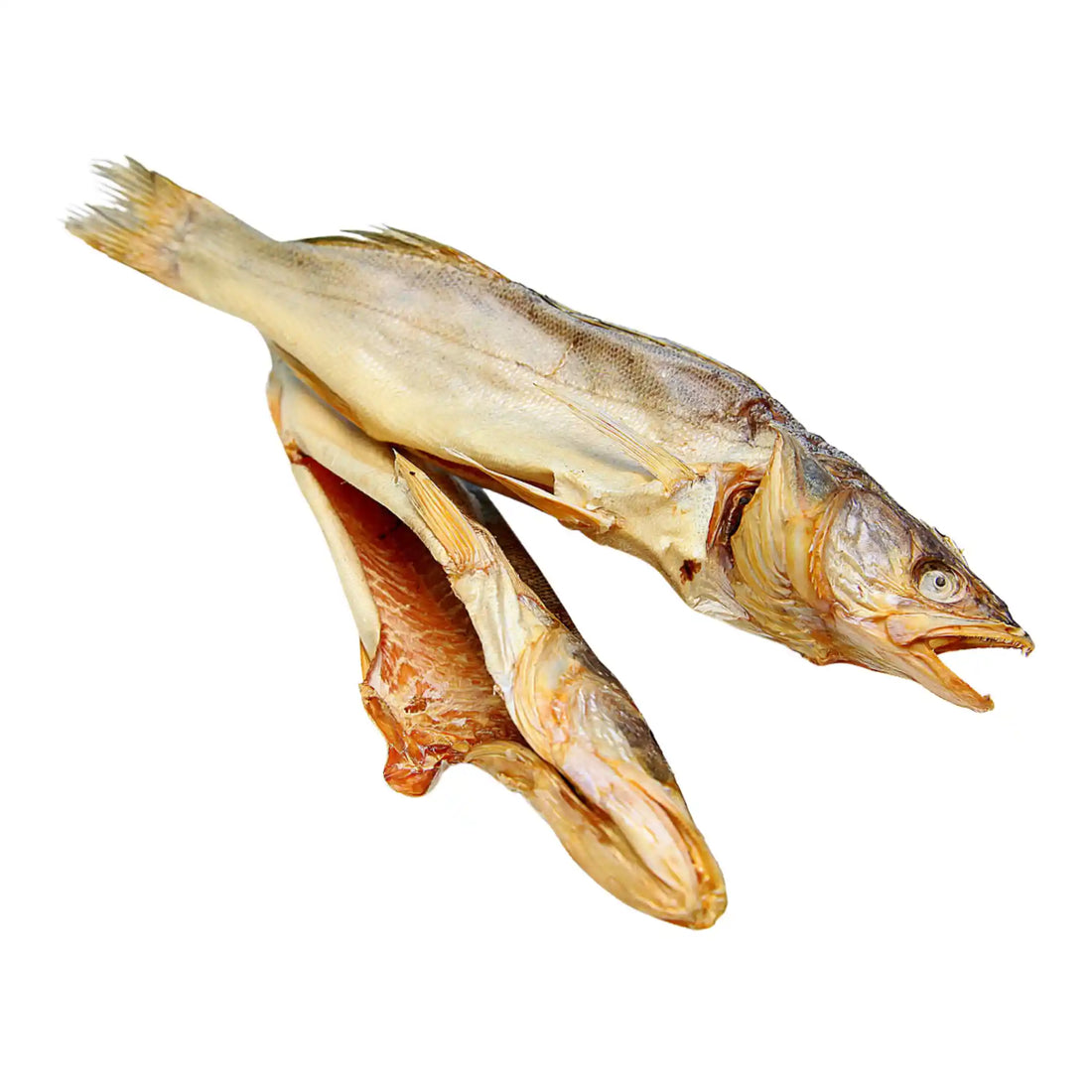 Судак Ламберг саит.webp