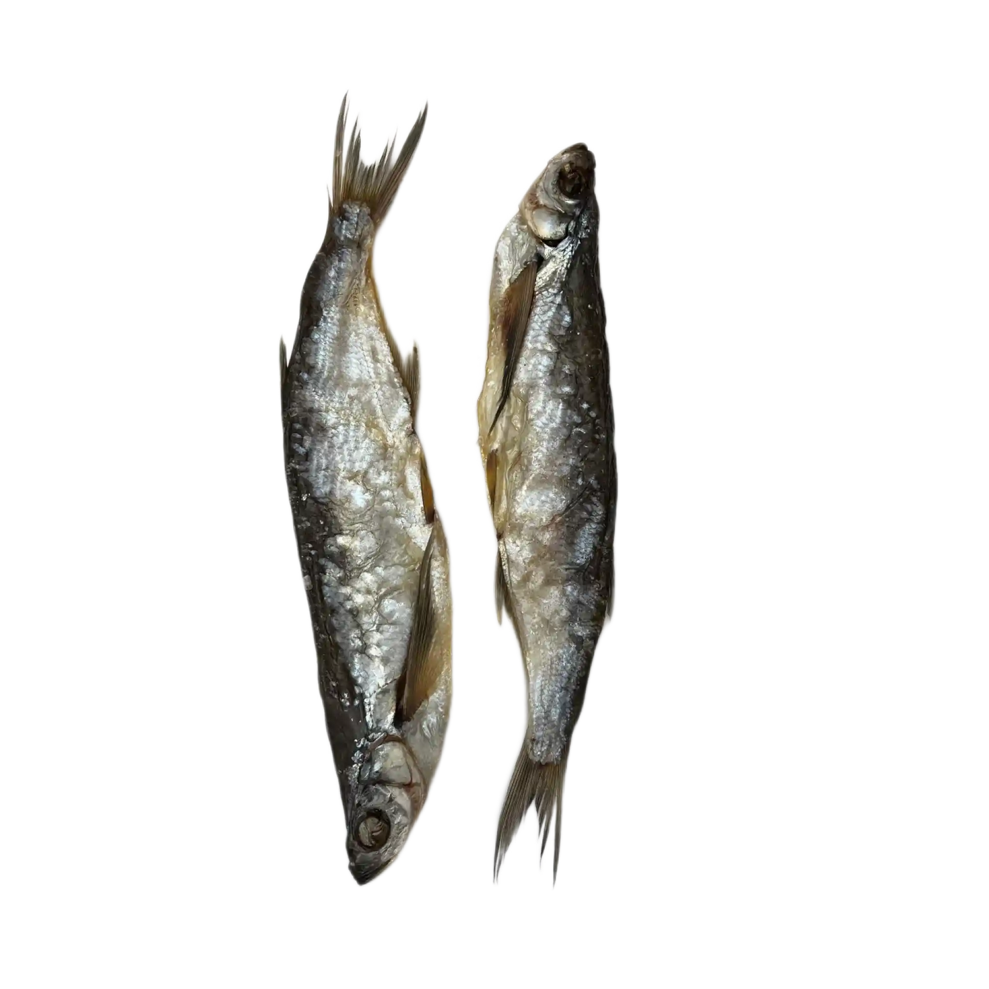 Чехонь саит.webp