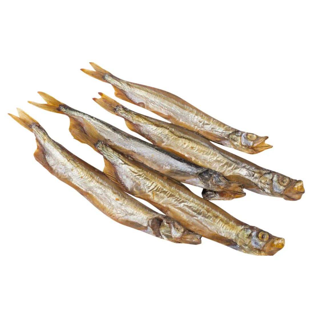 Моива х-к.webp