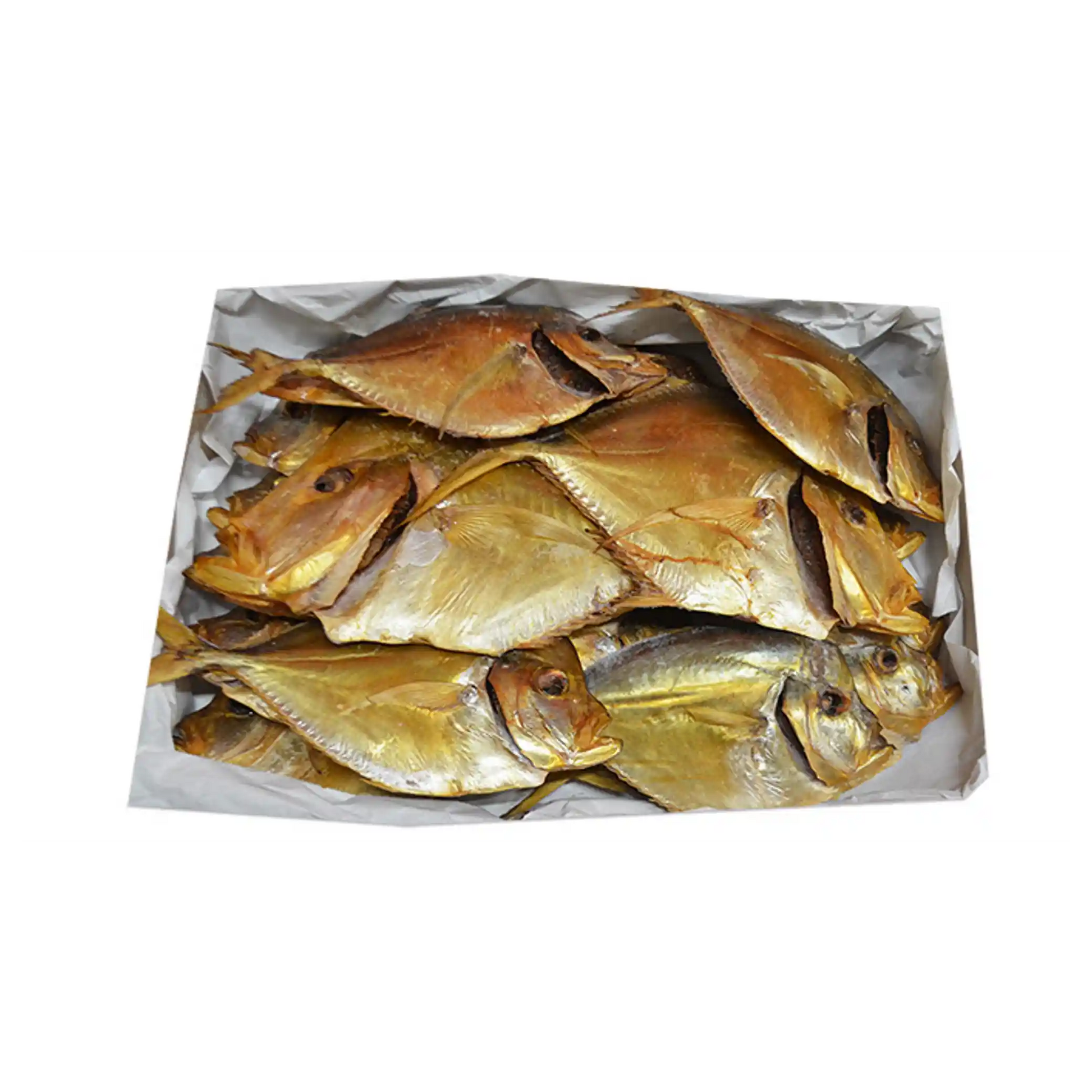 Mooijer_4345_Karibsky_pomfret.webp