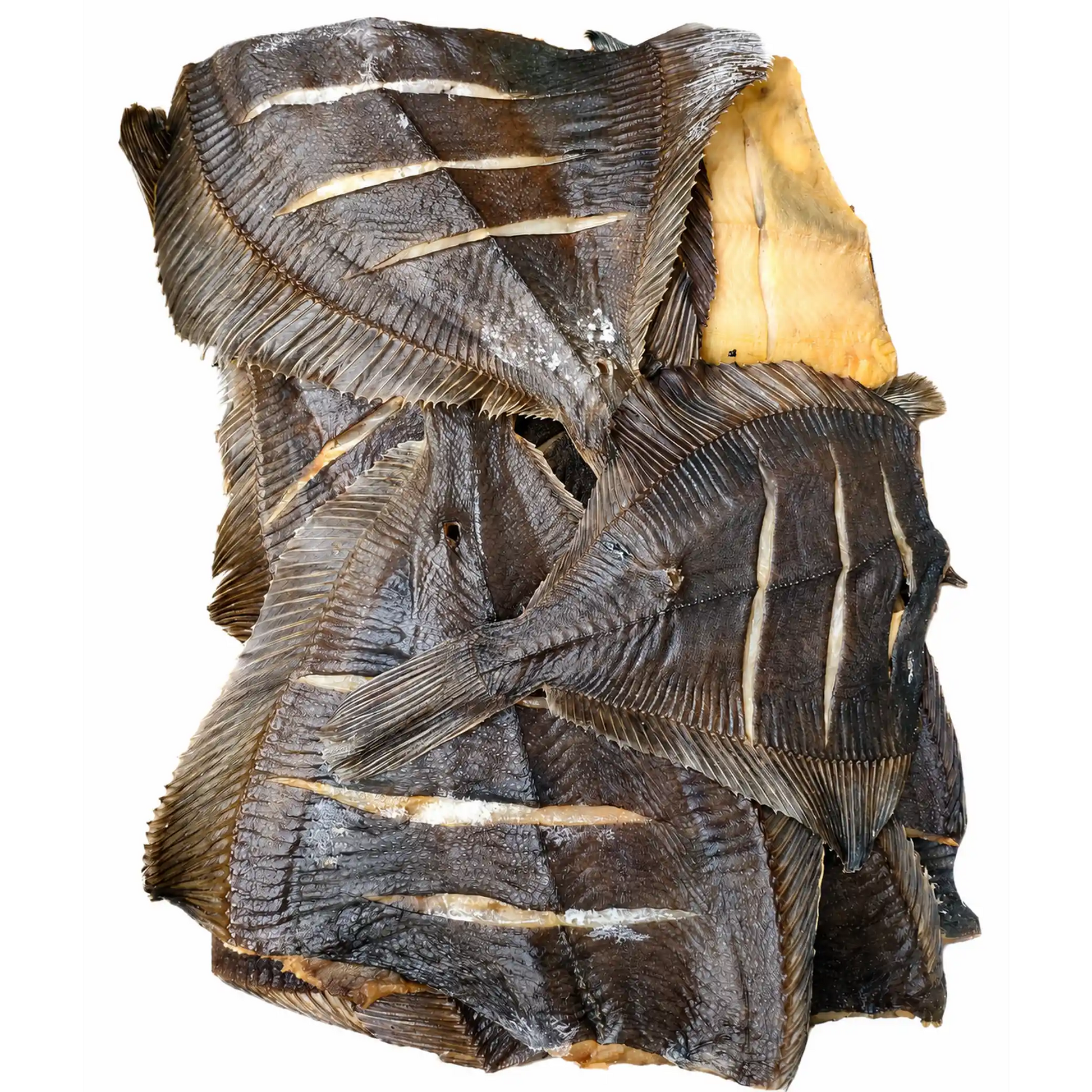 Shop Kambala sušená, 3 kg.webp