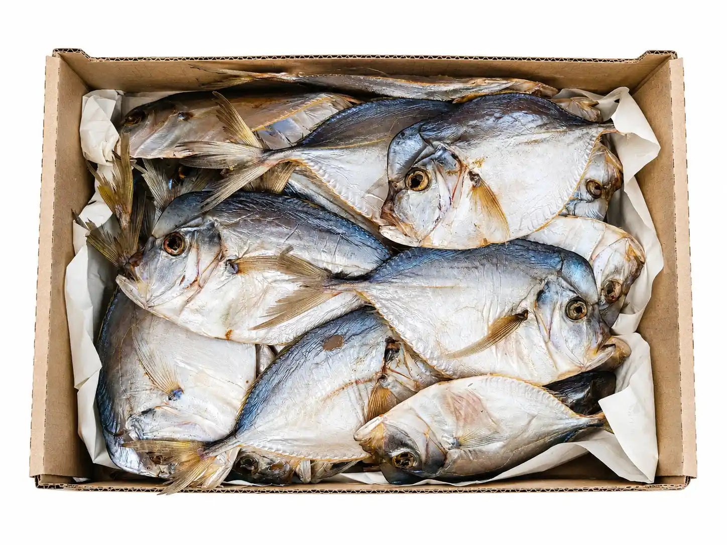 Shop Vomer sušený, 3kg.webp