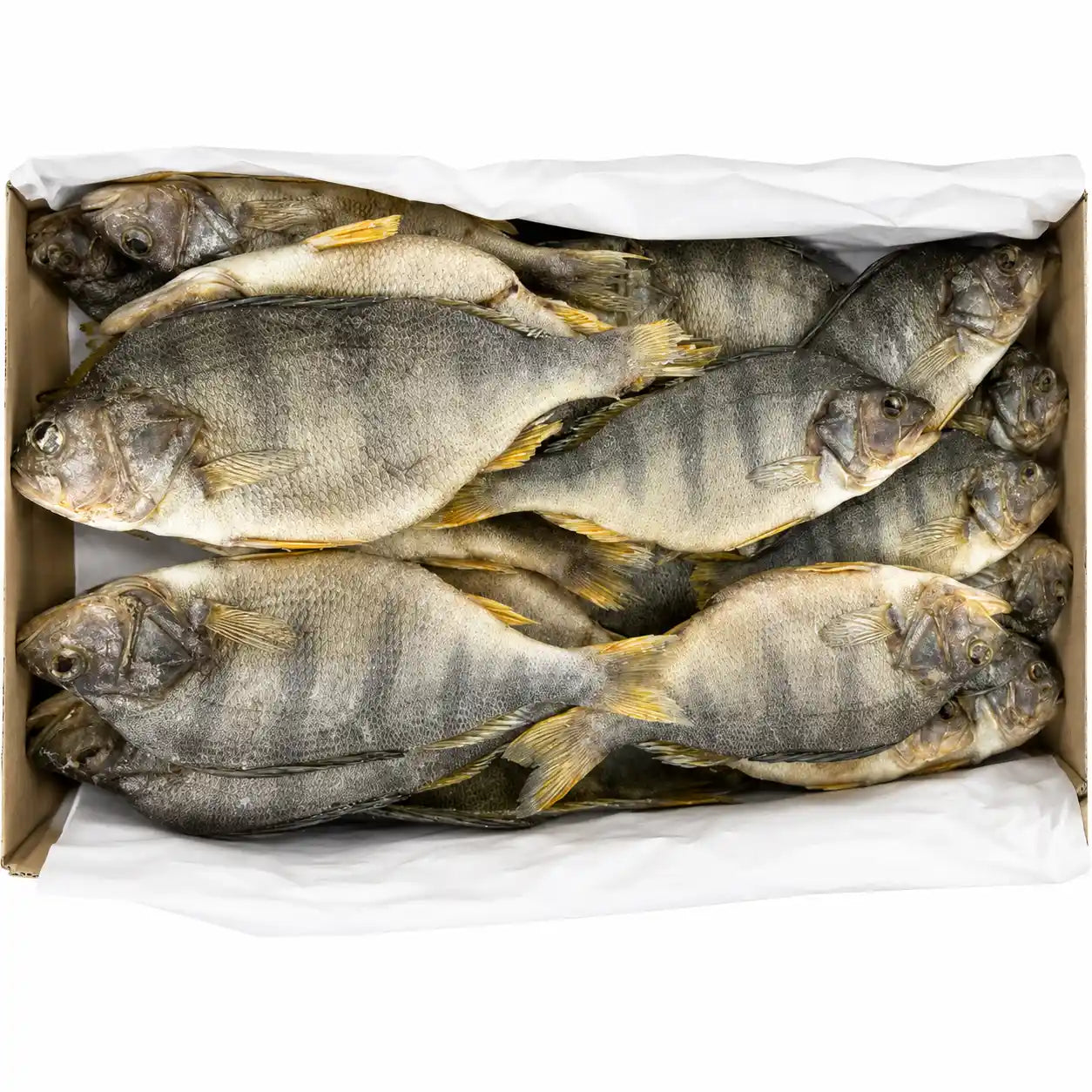 Mooijer Okoun sušený solený.webp