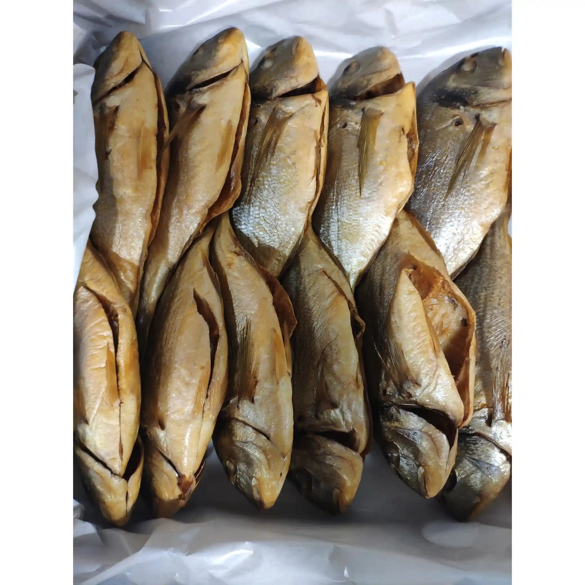 SoNa-Dorada-2080.webp