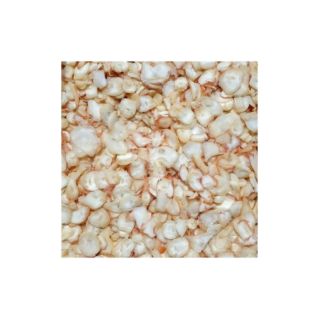 global_kalmary_susene_prasatka_chobotnice_1kg.webp