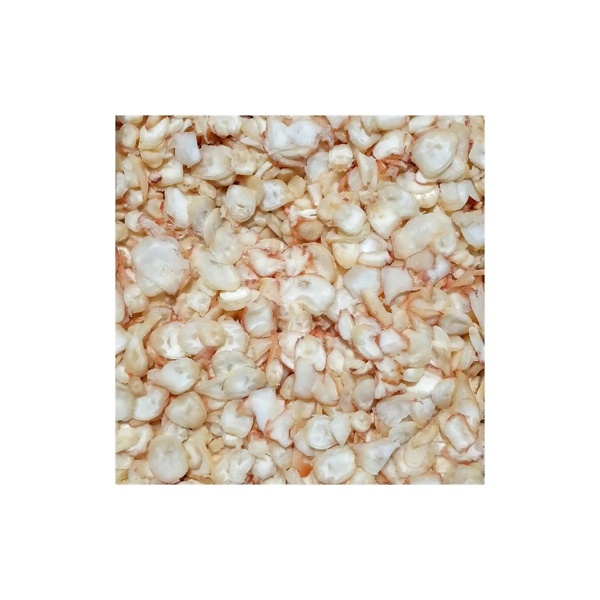 global_kalmary_susene_prasatka_chobotnice_1kg.webp