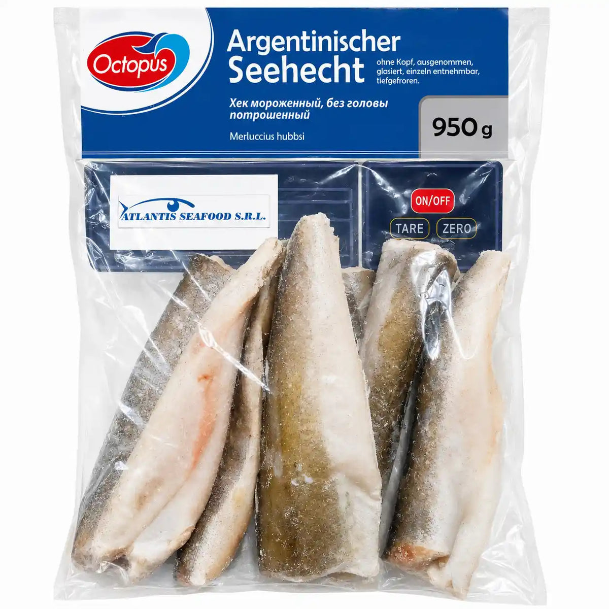 Oktopus Argentinský Štikozubec obecný.webp